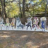 【イベント参加録】JR東海×幻日のヨハネ さわやかウォーキング ～ヨハネ達と一緒に、探そうヌマヅの輝き～