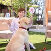 【犬が食べてはいけないもの11選】食べてしまったときの対処法を解説！