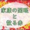 【どうする家康】たぬきの開眼の横で勝頼に感動した回でした。