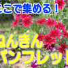 年金関係のパンフレット一覧～年金関係の資料はここでまとめて収集！