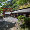 京都の新緑・愛宕念仏寺と千二百羅漢