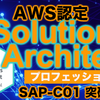 【AWS】実務2日から突破するAWS認定『ソリューションアーキテクト - プロフェッショナル』(SAP)の合格記録