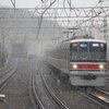 首都圏は雪、と言うことであちこちで撮ってきました