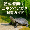 🐢 初心者のためのニホンイシガメ飼育ガイド