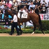 中山競馬 7R パドック直前予想 ◎12 メイラヴェル