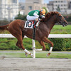 川崎競馬　雨上がる