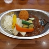 カレーの市民アルバ（千代田区外神田）の焼野菜カレー小盛コロッケトッピング