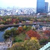 大阪城の紅葉