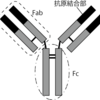 二次無効の原因は？　その1（1/2）