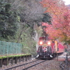 保津峡　嵯峨野トロッコ列車保津峡駅へ