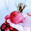 ライチの王様！「ジャカパット」は衝撃的な美味しさだった