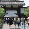 東京都心、春の公園虫散歩（皇居周辺）