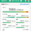【マイナス15キロ】100日ダイエット71日目👿モチベーション低下警報