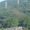 秦野転天気　３４度☀晴れ