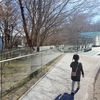 【ポーラ美術館へ行ってきました】山道を歩いたら、お昼寝必須になりました