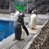冷水筒の新調