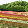 えっさんの花園めぐり（6）