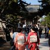 京都 北野天満宮は梅満開