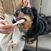 連休２日目