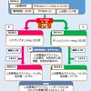 JAMA2019　リナグリプチンvsグリメピリド　（ビジアブ）