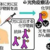 続報　世界初がん「光免疫療法」の薬剤が正式承認