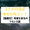 うさぎの足がフランスでは幸運の証！？幸運を祈るのフランス語フレーズ