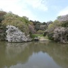 鎌倉　夫婦池公園にて＆今日の独り言