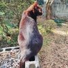 結構、別れにヨワイ私・・・