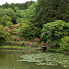 ＜写真＞今日のお題は、鳥見山公園のツツジ