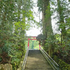 箱根神社・九頭竜神社に行く