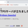 ローカルHTTPSサーバを立てる（Python + openssl）