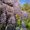 【京都】大原野、『正法寺』に行ってきました。