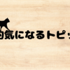 個人的に気になるはてなブログトピック