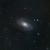 M81