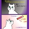 猫ちゃんは宙を凝視して何を見ているのでしょう？