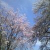 岩永佐保のやわらかき受容