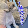 うさぎさんにＬＯＶＥなもっくん♡