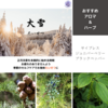 【二十四節気の香り養生】大雪（たいせつ）：2024年は12/7