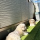 夏の陽射しがサンサン