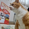 快便マン復活！