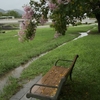 夏の雨の日の鴨川