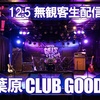ただ真っ直ぐに、ただがむしゃらに ―『ガールズフィスト!!!!』12.5無観客配信ワンマンライブ所感