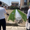 給食センター長さんがあま市有機JAS農家さんへ視察