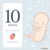 10w つわり落ち着きはじめ