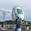 RWC2019 日本大会 対アイルランド代表戦(9/28) 南端まいな編