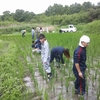 ７月１４日の活動報告