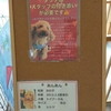 保護犬カフェ堺店　2021.8.11