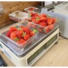 リピート🍓いちご狩り@吉村観光農園【鹿児島県霧島市】
