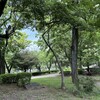 酷暑下の運動