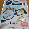 ダイソー ダニとり シート 効果3か月 安くて買いやすい 100円で買えるのはコスパよすぎ